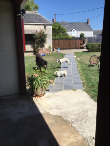 Photo de galerie - Une belle entente, avec le respect de chacun 