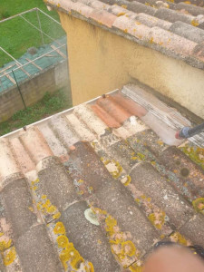 Photo de galerie - Couverture - Toiture