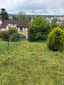 Photo de galerie - Après débroussaillage 