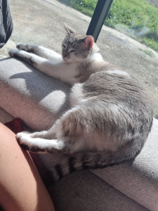 Photo de galerie - ?