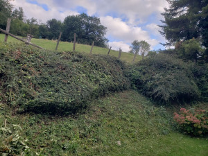 Photo de galerie - Taille de haie très large