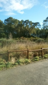 Photo de galerie - Faire les jardins 

