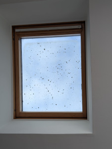 Photo de galerie - Nettoyeur de vitres