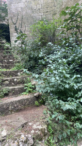 Photo de galerie - Paysagiste - Aménagement du jardin