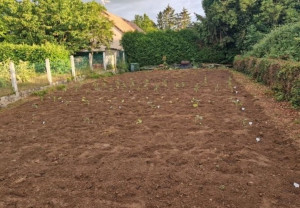 Photo de galerie - Retrouner la terre 