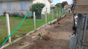 Photo de galerie - Abattage 