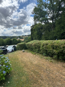 Photo de galerie - Taille remise au propre 