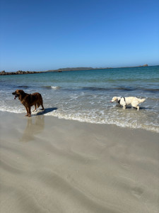 Photo de galerie - ☀️