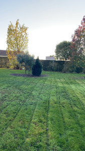 Photo de galerie - Tonte de pelouse - Débroussaillage