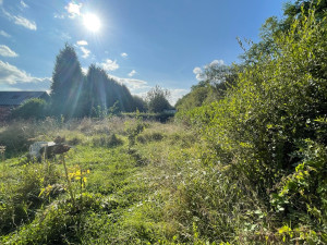 Photo de galerie - Broyage herbe haute photo avant 