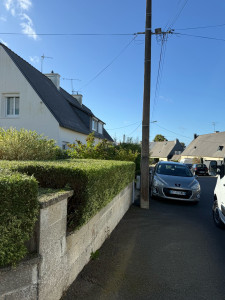 Photo de galerie - Taille de haie