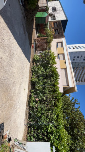 Photo de galerie - Dessouchage et pose de grillage 