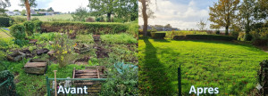 Photo de galerie - Nettoyage complet du potager, suppression des haies et mise en gazon.