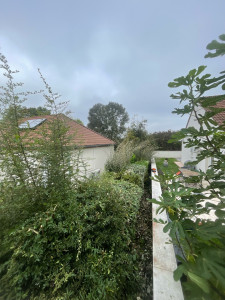 Photo de galerie - Taille de haies et d'arbustes