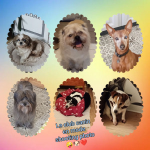 Photo de galerie - Photo de famille 