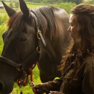 Photo de galerie - Soin Chevaux
