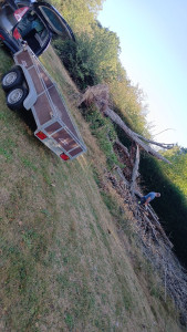 Photo de galerie - Elagage et coupe d'arbres