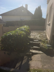 Photo de galerie - élagage de haie et arbres 