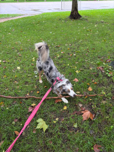 Photo de galerie - Rully