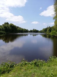 Photo de galerie - Nettoyage du tour de l'étang, travail très agréable. 