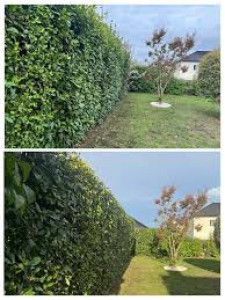 Photo de galerie - Travail réalisé avec soins 