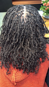 Photo de galerie - Micro twist 