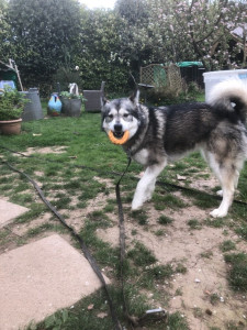 Photo de galerie - Loulou