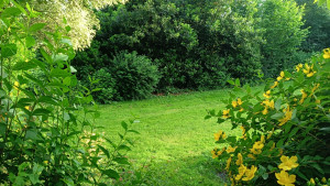 Photo de galerie - Entretien de jardin