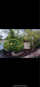 Photo de galerie - Création massif avec bordure 