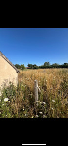 Photo de galerie - Avant débroussaillage 