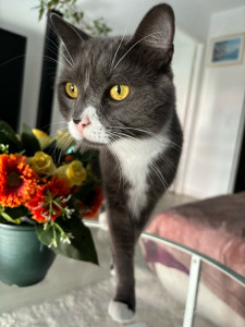 Photo de galerie - Tokyo