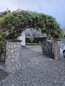 Photo de galerie - Paysagiste - Aménagement du jardin