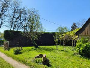 Photo de galerie - Taille de haies et d'arbustes