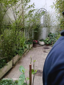 Photo de galerie - Paysagiste - Aménagement du jardin