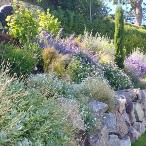 Photo de galerie - Massif style anglais 
