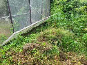 Photo de galerie - Jardinier