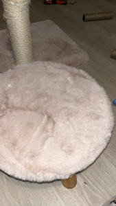 Photo de galerie - Rénovation arbre à chat 