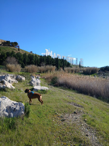 Photo de galerie - Ballade