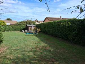 Photo de galerie - Taille de haies et d'arbustes