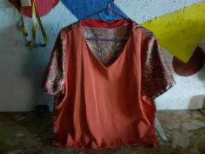 Photo de galerie - Petit haut col V