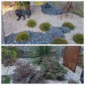 Photo de galerie - Création design / jardin 