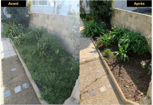 Photo de galerie - Désherbage manuel 