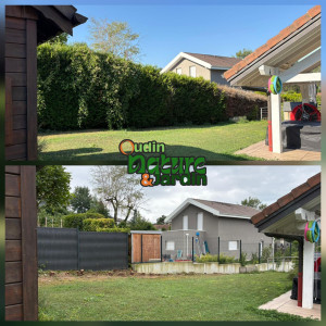 Photo de galerie - Taille de haies et d'arbustes