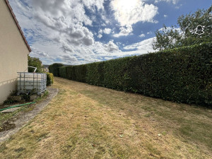 Photo de galerie - Taille de haie 