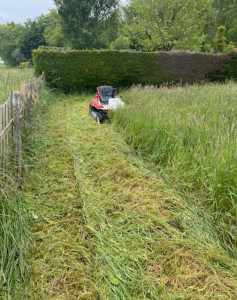 Photo de galerie - Débroussailleuse