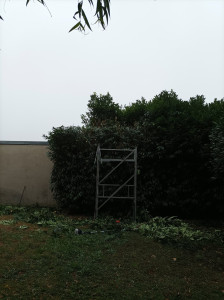 Photo de galerie - Haies avant