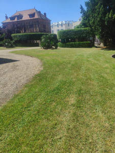 Photo de galerie - Tonte de pelouse - Débroussaillage