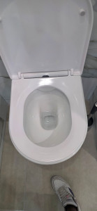 Photo de galerie - Toilette nickel 