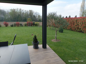 Photo de galerie - Tonte de pelouse.scarification. plantation.