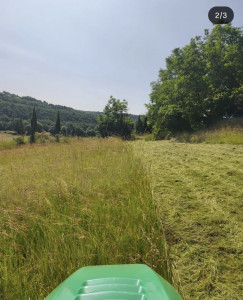 Photo de galerie - Tonte herbe haute et ronce avec tracteur de pelouse simple ou tracteur 4x4 débroussailleur